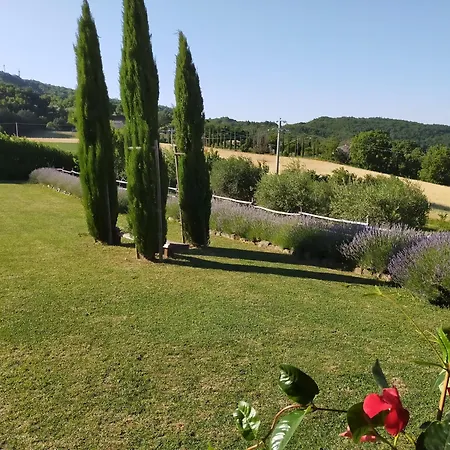 Luna Bianca * Assisi